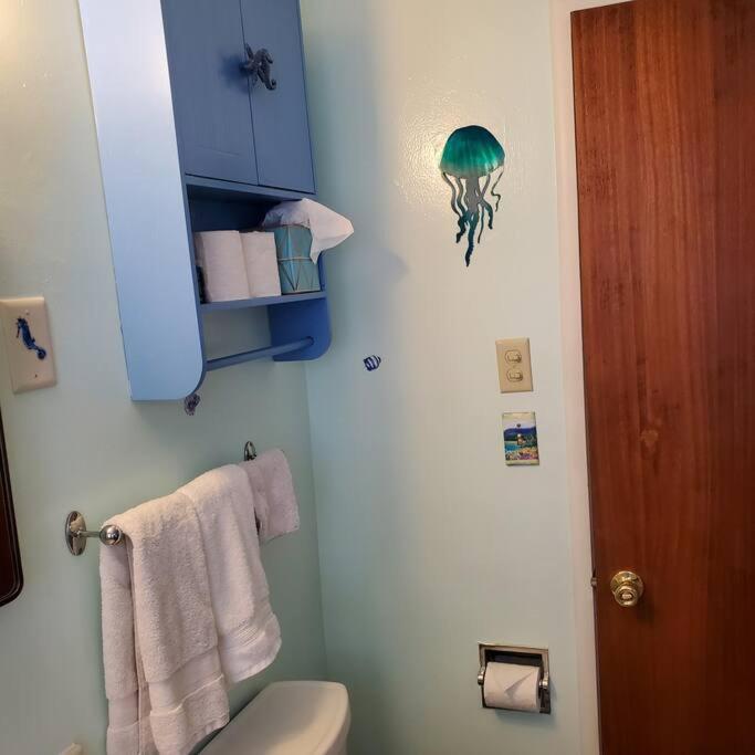 Sweet 2 Bedroom Close To U Of Oregon & Track! Eugene Extérieur photo